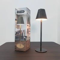 Tiny LED Table Lamp